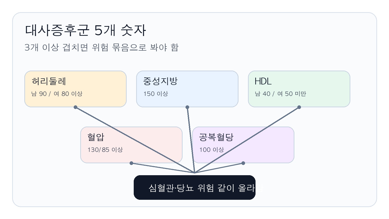 허리둘레와 혈액 숫자가 함께 위험을 키우는 흐름
