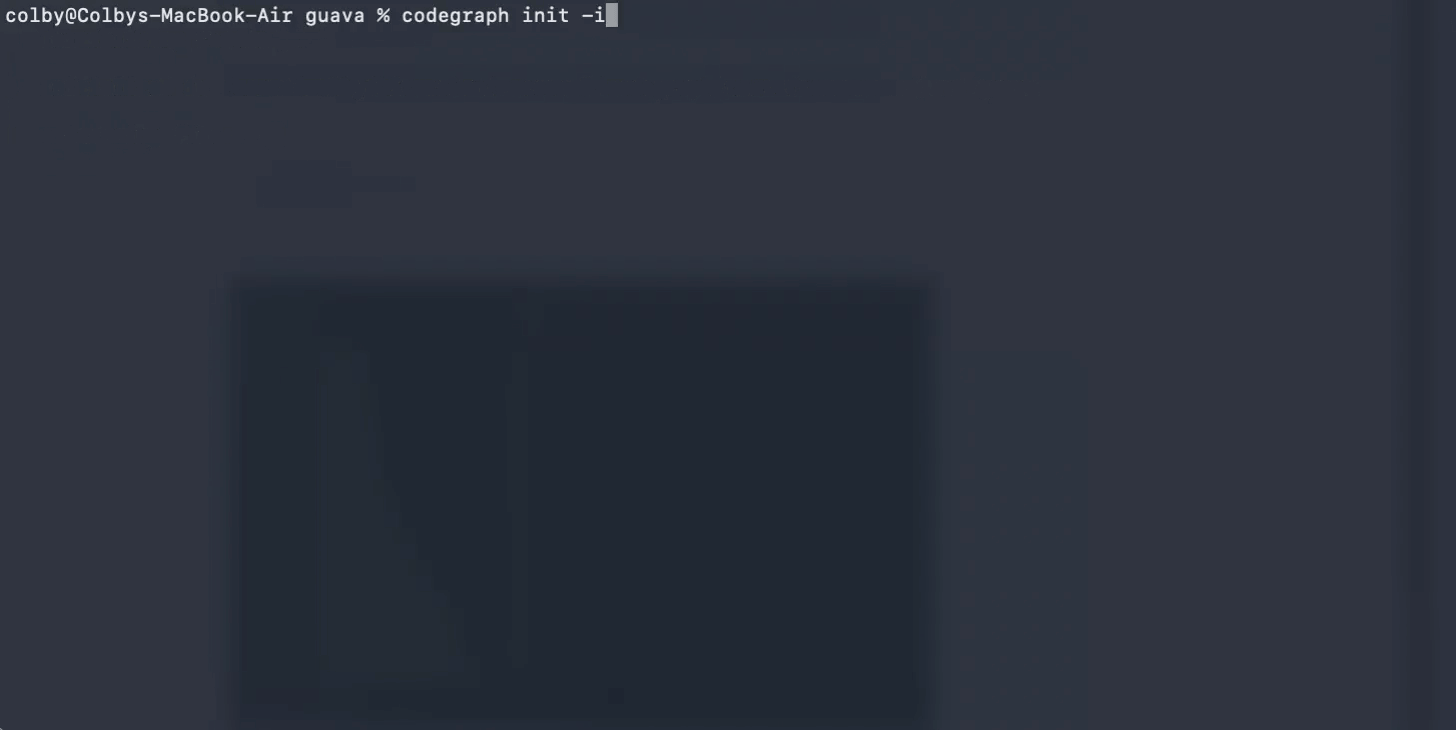 CodeGraph init 데모