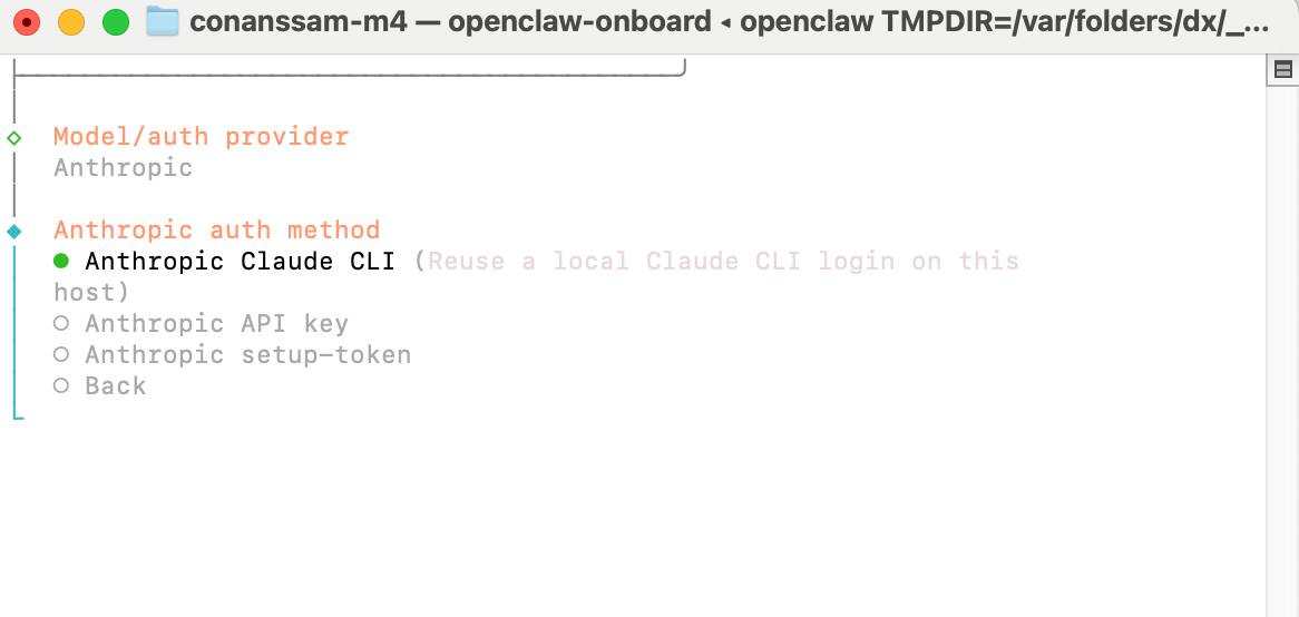 OpenClaw 온보딩에서 Anthropic Claude CLI 인증 방식을 선택하는 화면