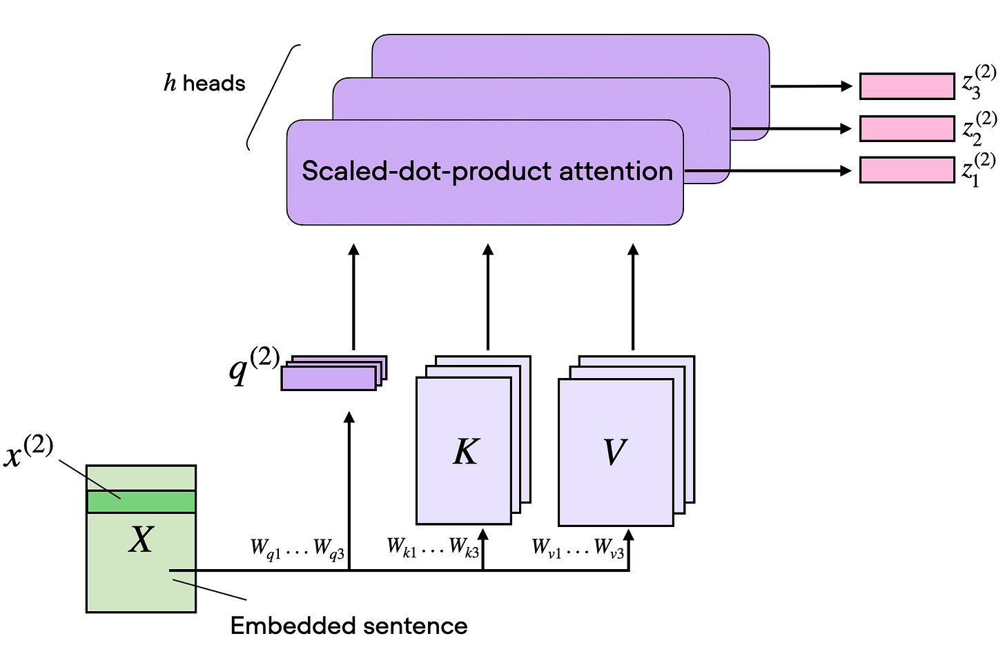 visual attention variants