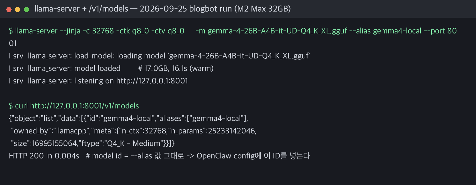 llama server 구동과 /v1/models 확인