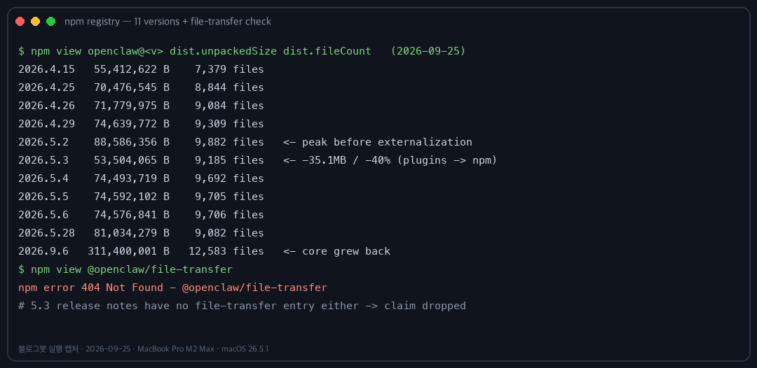 npm 레지스트리 조회·file-transfer 404 캡처